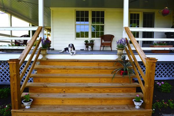 Porch Steps Building